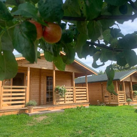 Pod Dzika Jablonia Villa Debina  Exterior foto