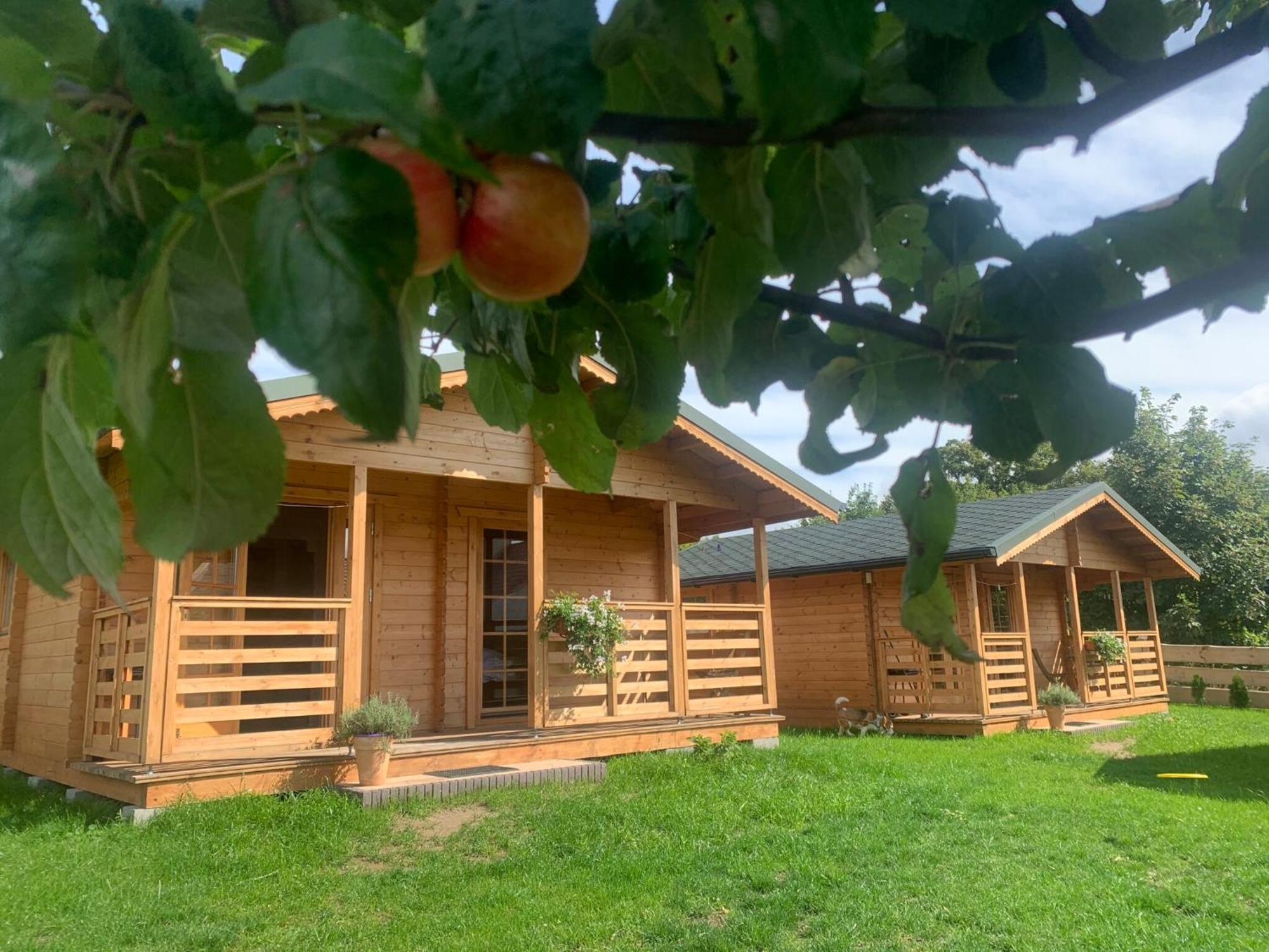 Pod Dzika Jablonia Villa Debina  Exterior foto
