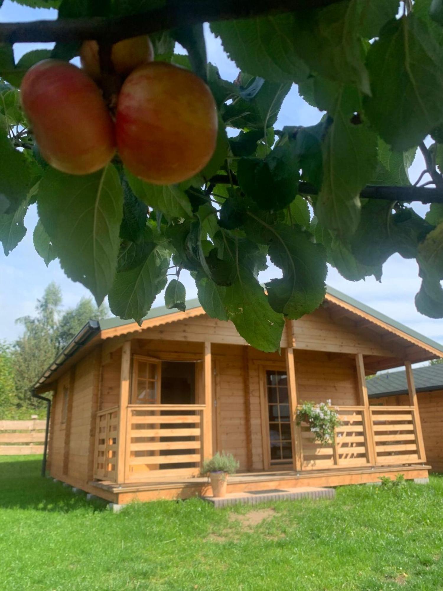 Pod Dzika Jablonia Villa Debina  Exterior foto